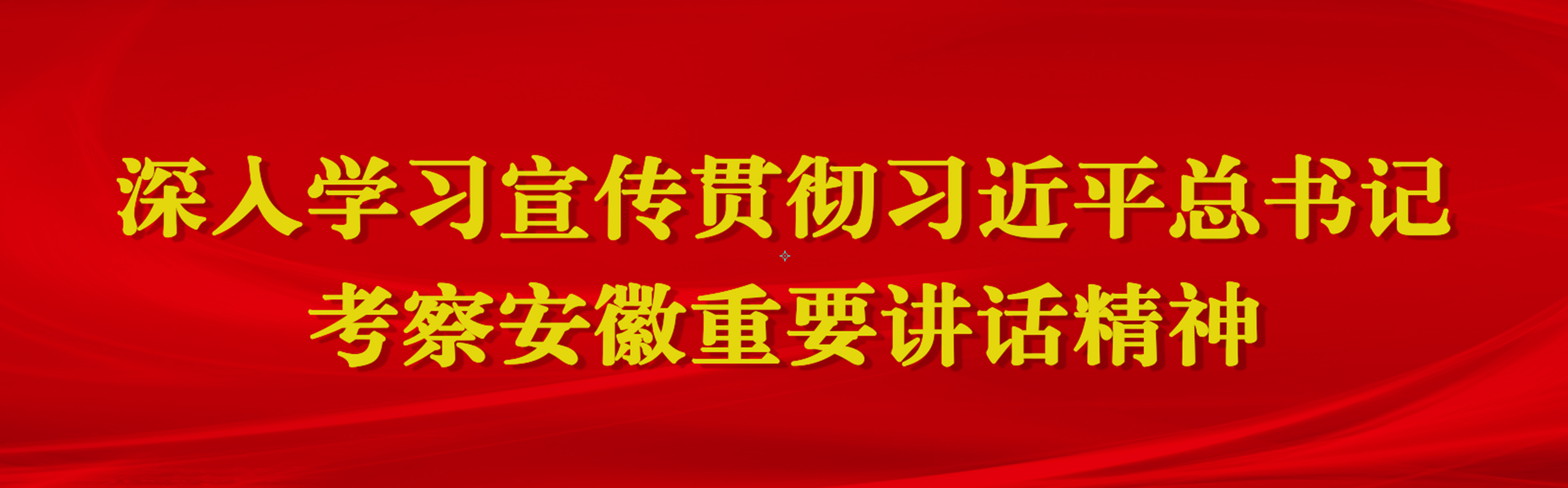 深入學習宣傳貫徹習近平總書記考察安徽重要講話精神